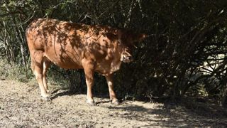 La sécheresse sévirait surtout sur la moitié Est de la France, selon le ministère de l’Agriculture. ©Cédric Faimali La sécheresse sévirait surtout sur la moitié Est de la France, selon le ministère de l’Agriculture. ©Cédric Faimali