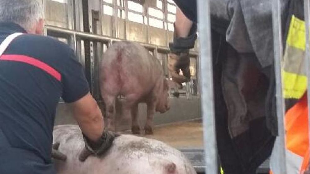 © Twitter/Vinci Autoroutes