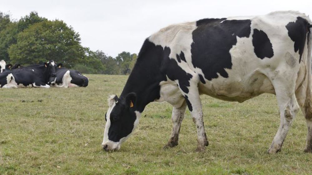 © Cédric Faimali/GFA