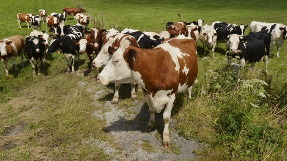 © Cédric Faimali/GFA