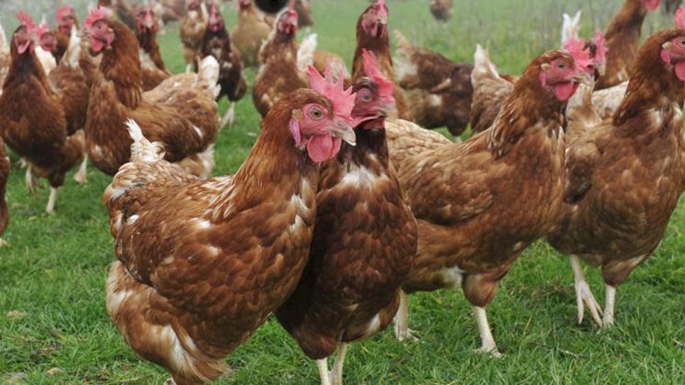 © Cédric Faimali/GFA