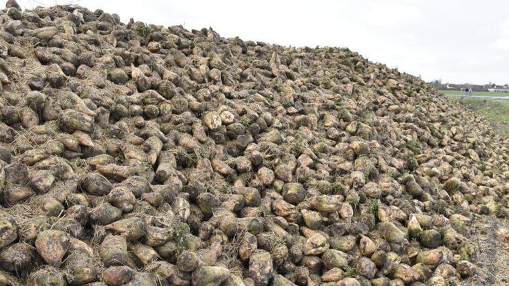 © Cédric Faimali/GFA