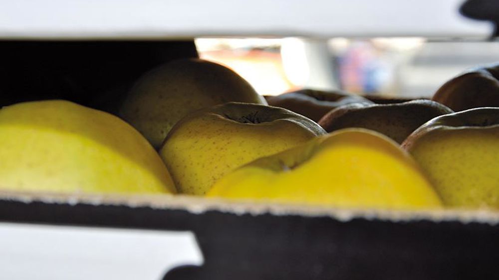 © P. Dufour/Interfel