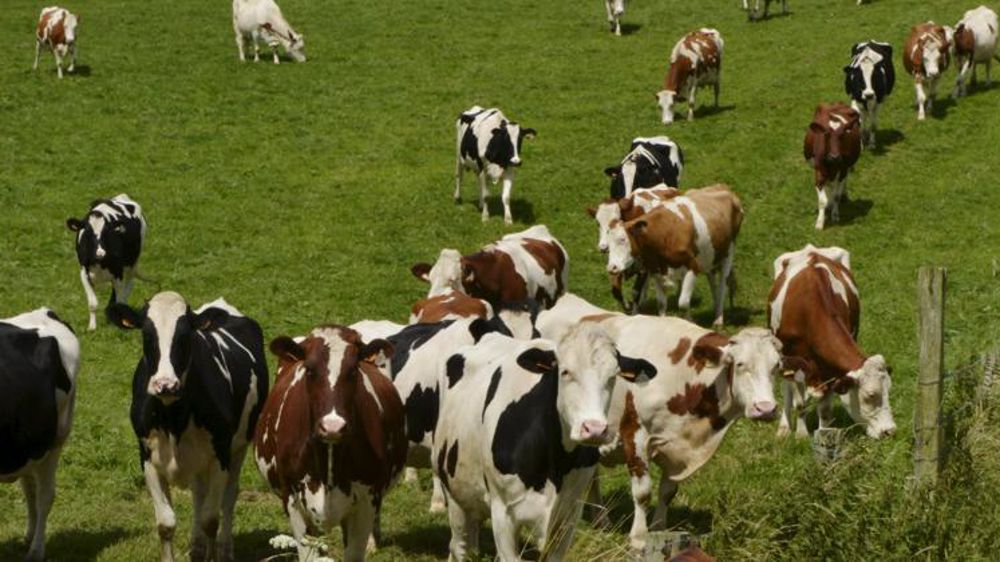 Photo d’illustration. © C. Faimali/GFA