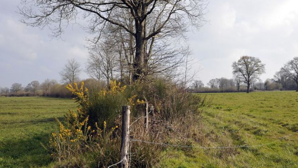 © Cédric Faimali/GFA