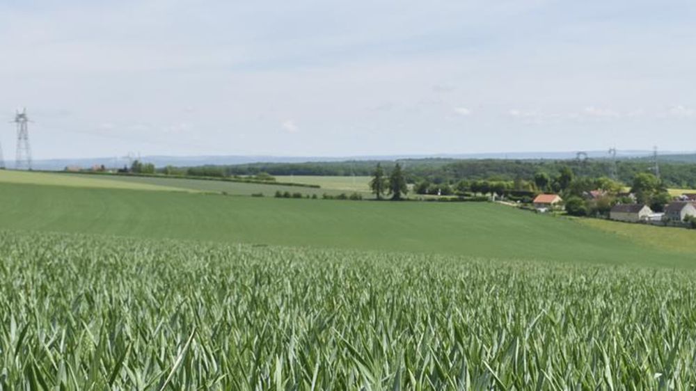 Photo d’illustration. © Cédric Faimali/GFA