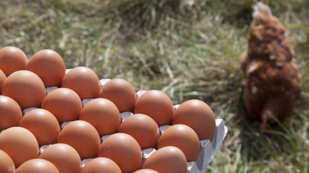 © Sébastien Champion