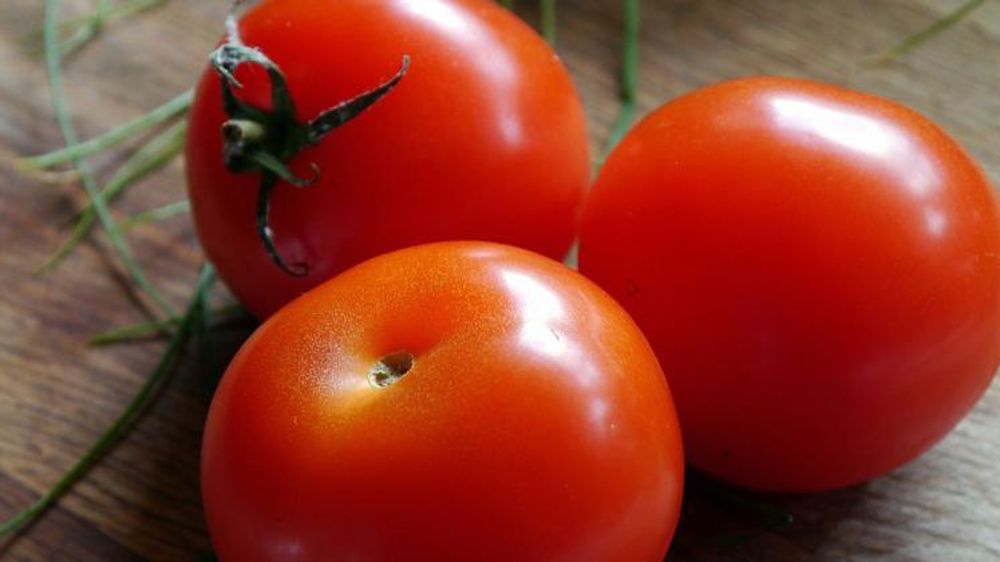 © ImageParty/Pixabay