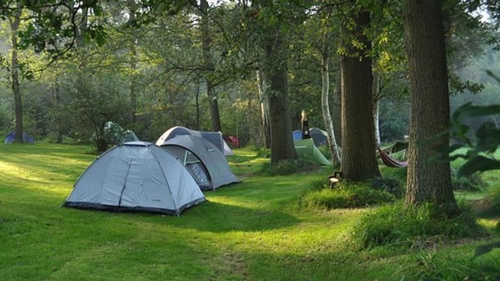 Le camping en milieu rural a tiré son épingle du jeu cet été. © jolandabloem/Pixabay