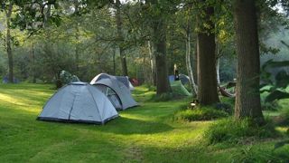 Le camping en milieu rural a tiré son épingle du jeu cet été. © jolandabloem/Pixabay Le camping en milieu rural a tiré son épingle du jeu cet été. © jolandabloem/Pixabay