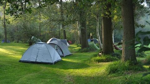 Le camping en milieu rural a tiré son épingle du jeu cet été. © jolandabloem/Pixabay Le camping en milieu rural a tiré son épingle du jeu cet été. © jolandabloem/Pixabay