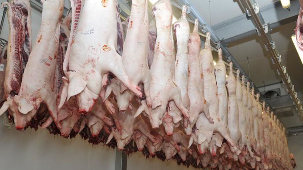 © Cédric Faimali/GFA