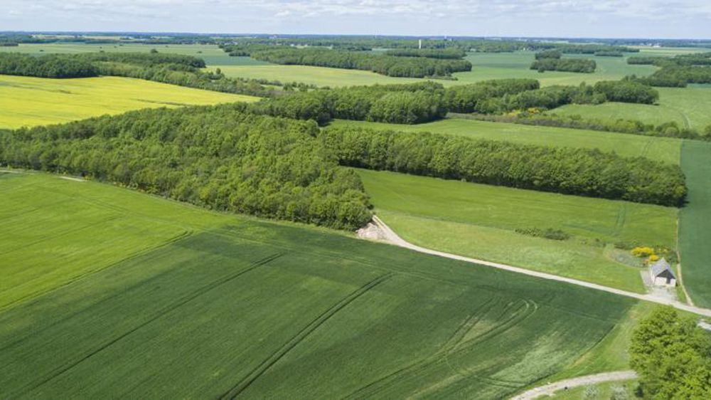 © Cédric Faimali/GFA