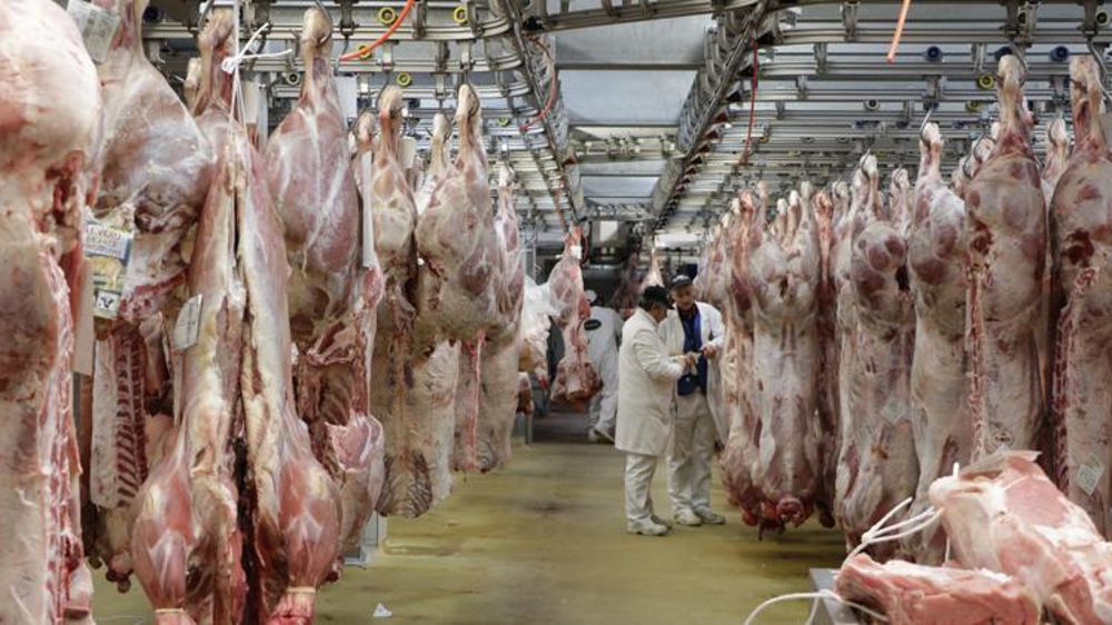 Photo d’illustration. © H. Chaligne/GFA