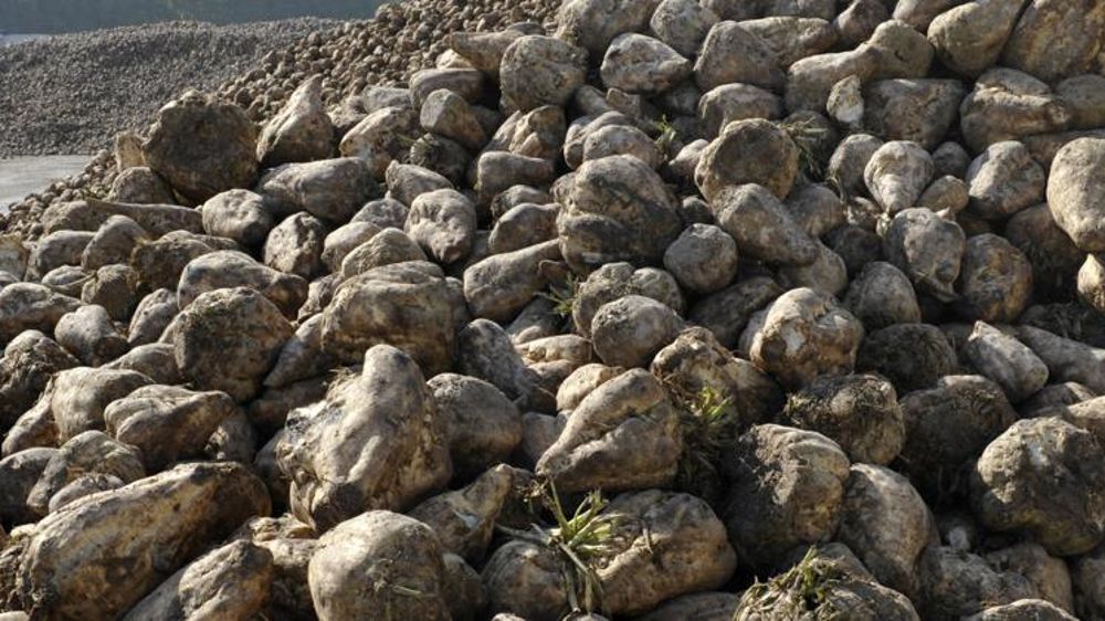 © Cédric  Faimali/GFA