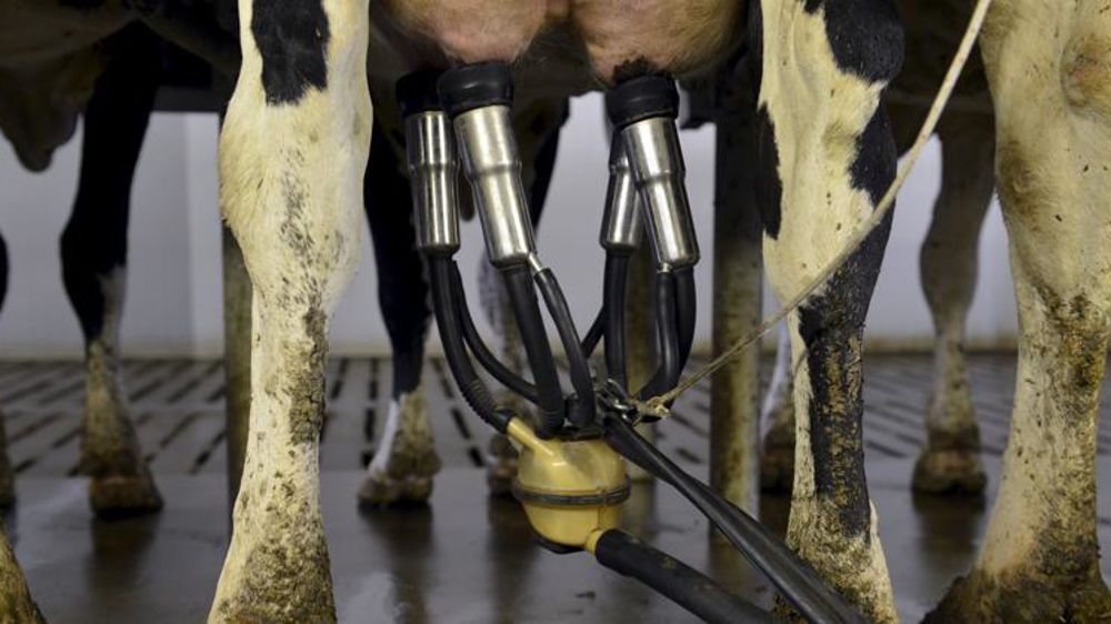 © Cédric Faimali/GFA