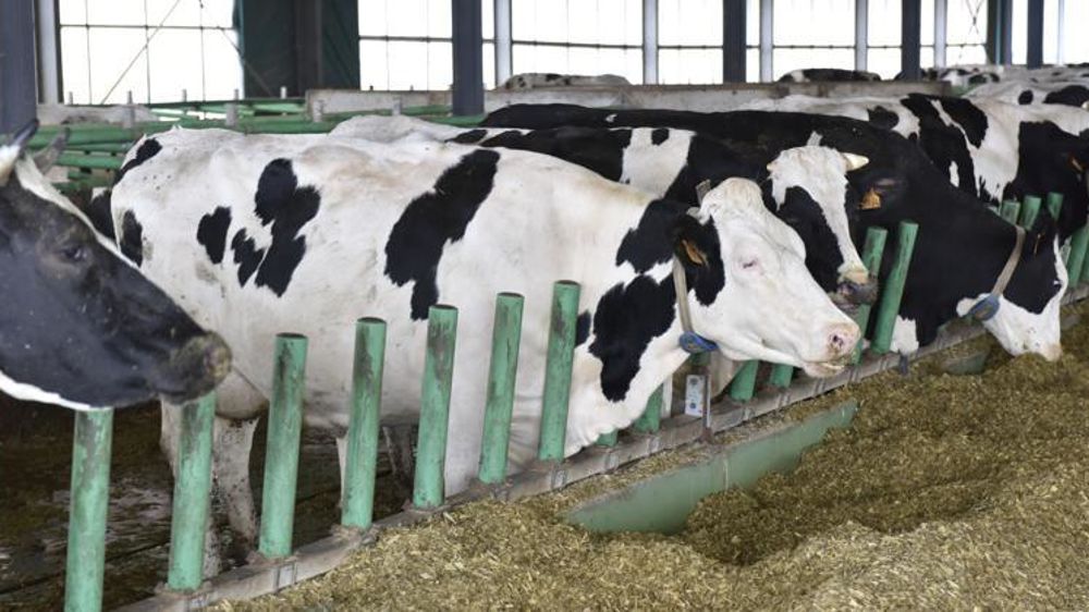 Le tribunal de grande instance d’Amiens a condamné ce 13 septembre 2018, six militants de la Confédération paysanne à verser près de 120 000 € à la ferme des 1 000 vaches. © C. Faimali/GFA