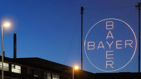 © Bayer © Bayer