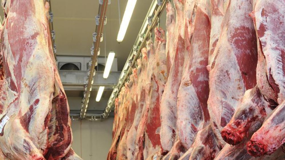 © Cédric Faimali/GFA