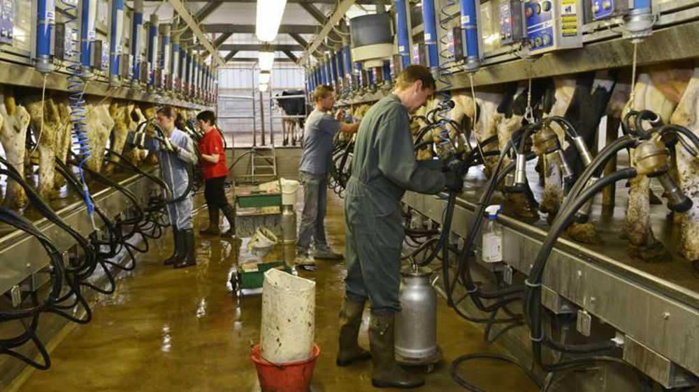 © Cédric Faimali/GFA