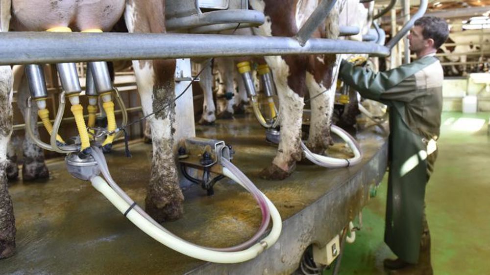 © Cédric Faimali/GFA