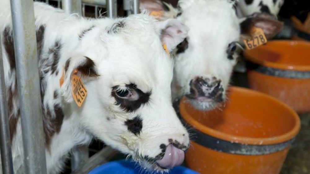 © Sébastien  Champion