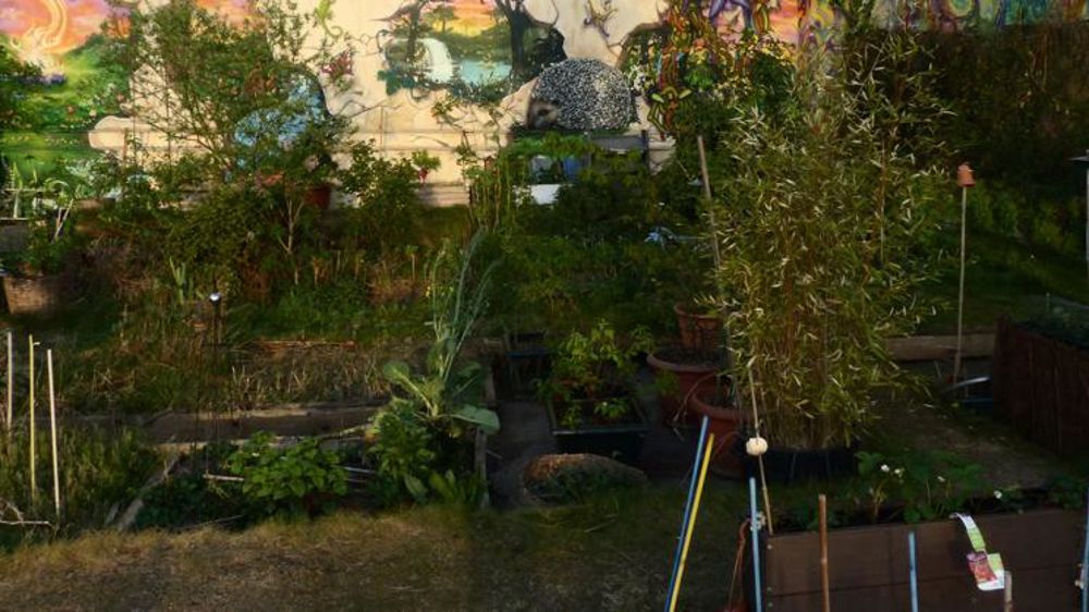 Photo d’illustration : Agriculture urbaine sur un toit parisien. © P. Bourdois