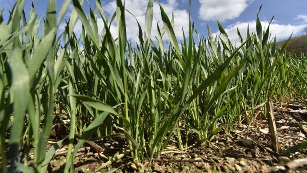 © Cédric Faimali/GFA