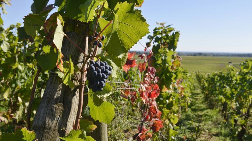 © Cédric Faimali/GFA