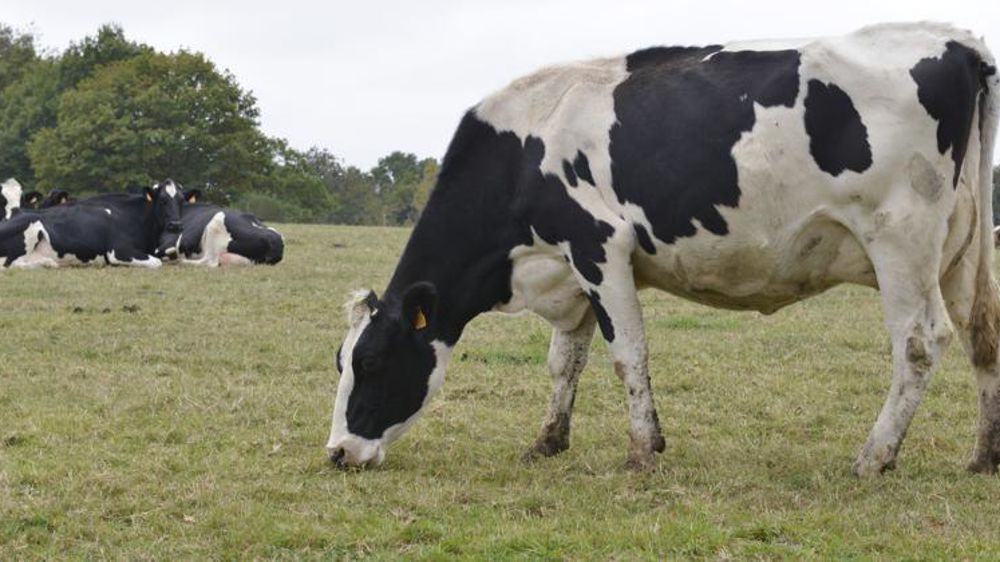 © Cédric Faimali/GFA