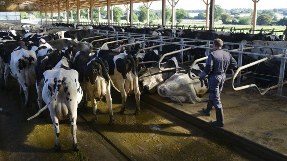 © Cédric Faimali/GFA