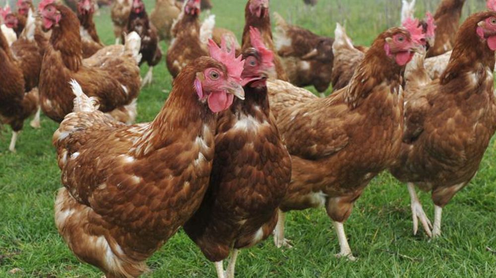 © Cédric Faimali/GFA