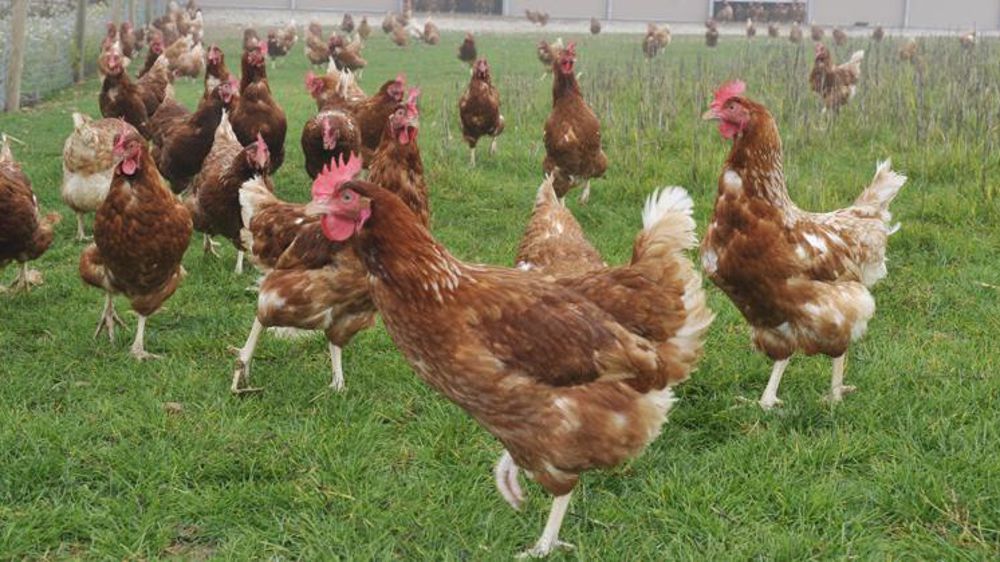 © Cédric Faimali/GFA