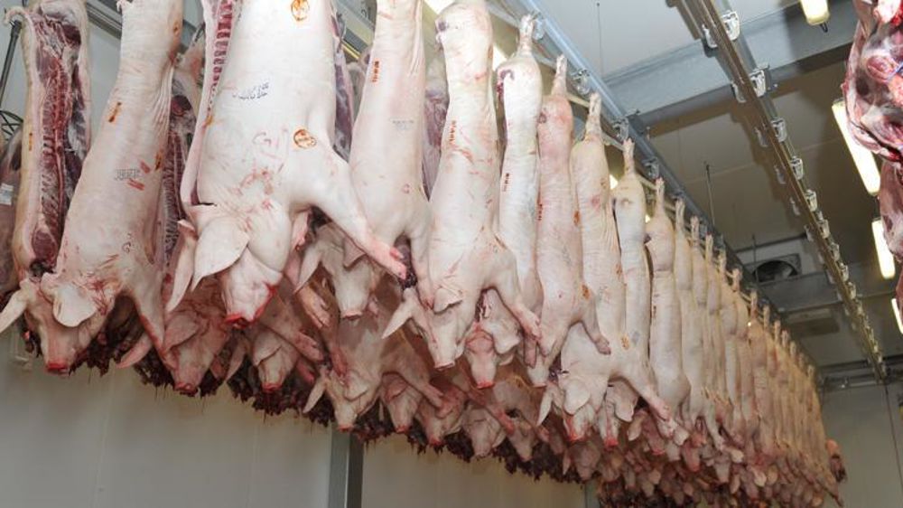 © Cédric Faimali/GFA