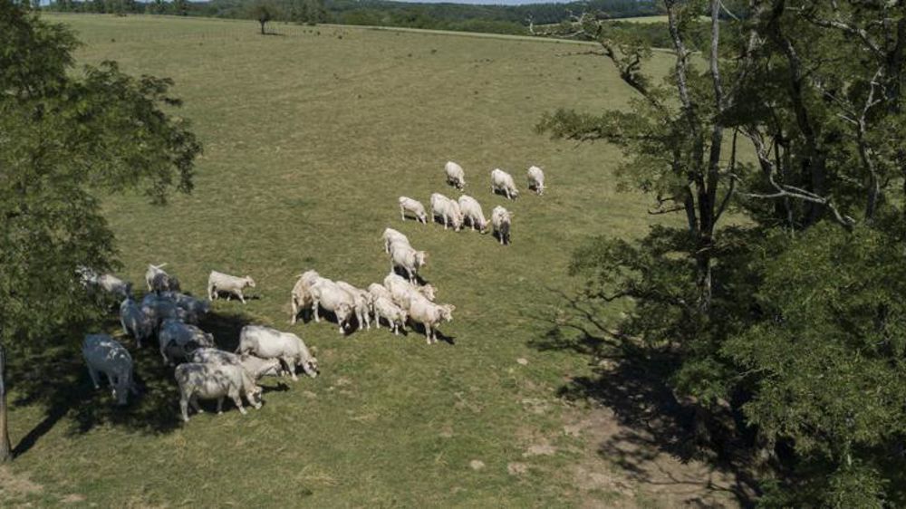 © Cédric Faimali/GFA