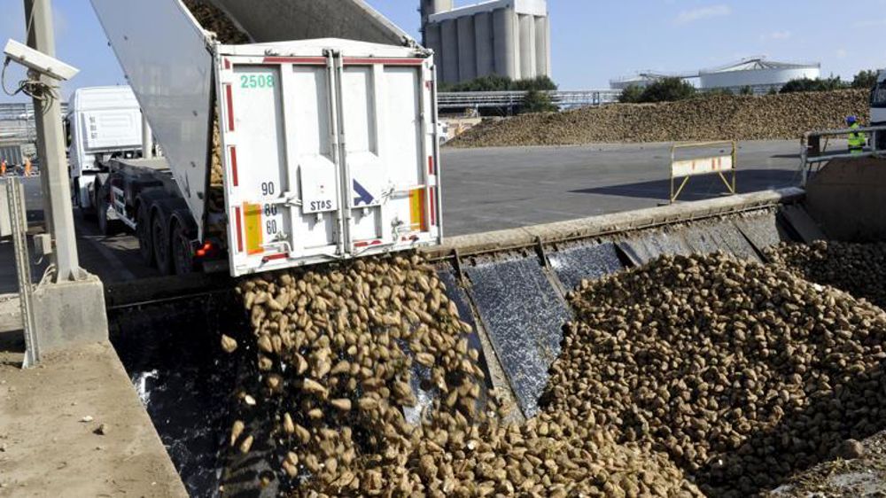 Site de Cristal Union à Bazancourt. © C. Faimali/GFA