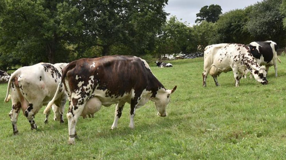 © Cédric Faimali/GFA