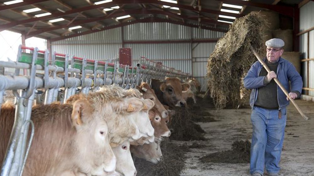 Il n’y aura pas de remise gracieuse du trop-versé par erreur par la MSA. Cette dernière doit toutefois adresser un courrier aux retraités afin qu’il puisse modifier leur déclaration fiscale 2017. © Sébastien  Champion