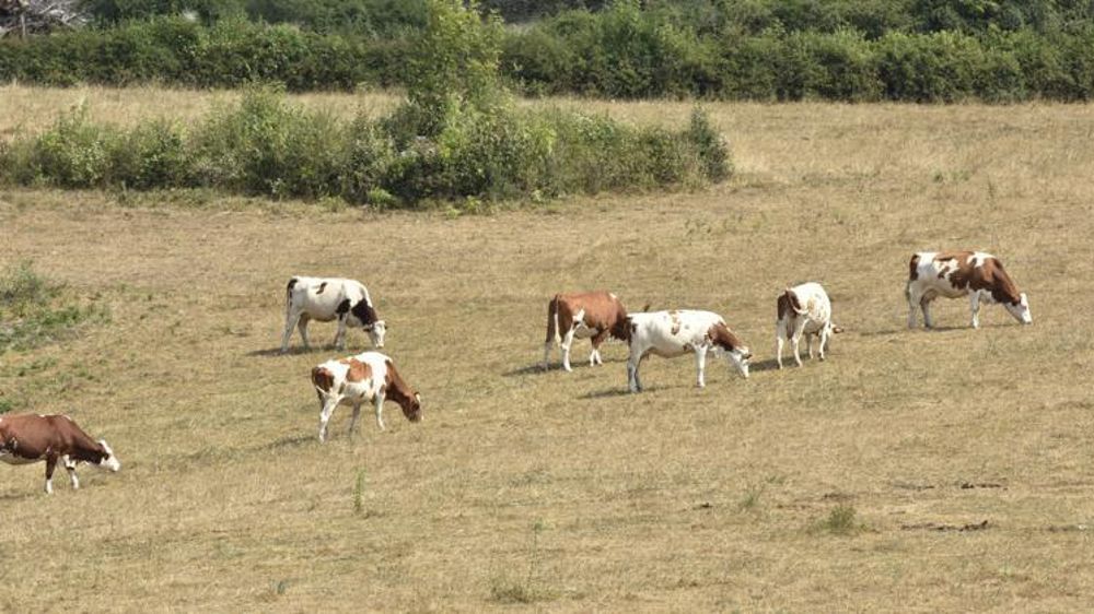 © Cédric Faimali/GFA