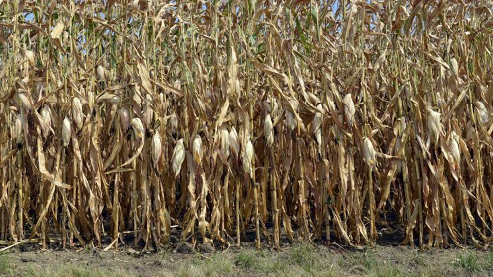 © Cédric Faimali/GFA