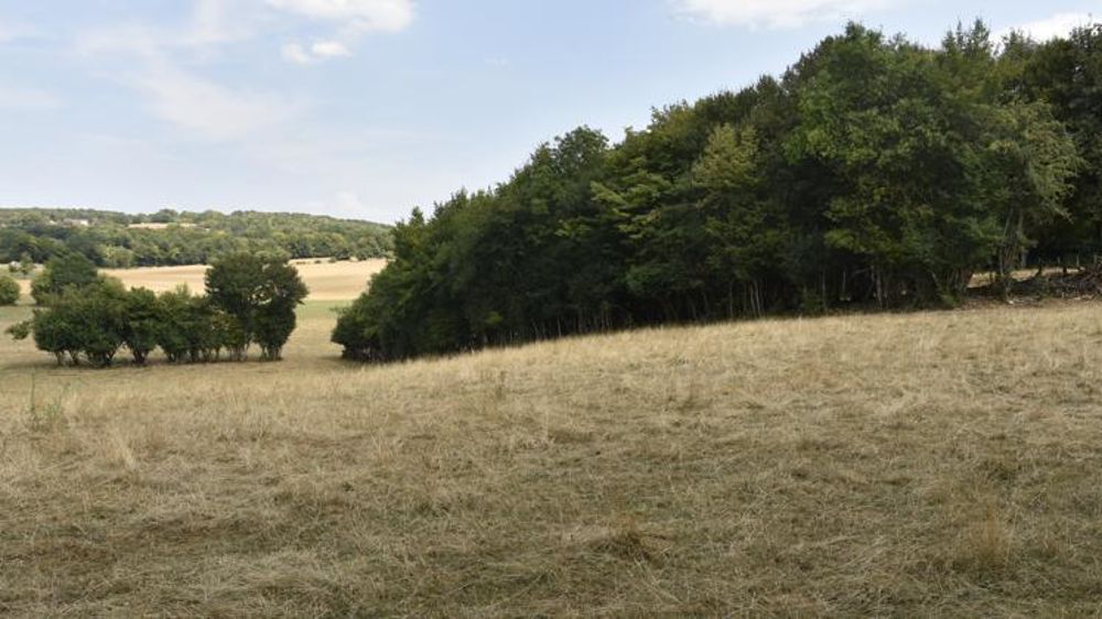 Les syndicats attendent de nouveaux soutiens du ministre de l’Agriculture pour les éleveurs touchés par la sécheresse. © C. Faimali/GFA