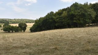 Les syndicats attendent de nouveaux soutiens du ministre de l’Agriculture pour les éleveurs touchés par la sécheresse. © C. Faimali/GFA Les syndicats attendent de nouveaux soutiens du ministre de l’Agriculture pour les éleveurs touchés par la sécheresse. © C. Faimali/GFA