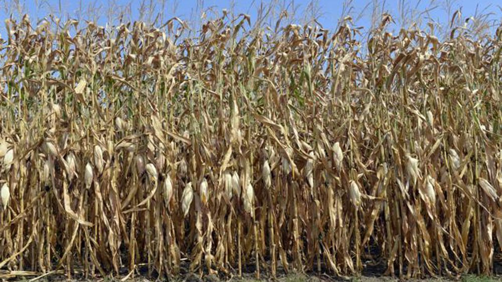 © Cédric Faimali/GFA