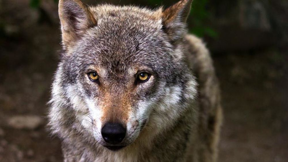 Photo d’illustration. © Pixabay