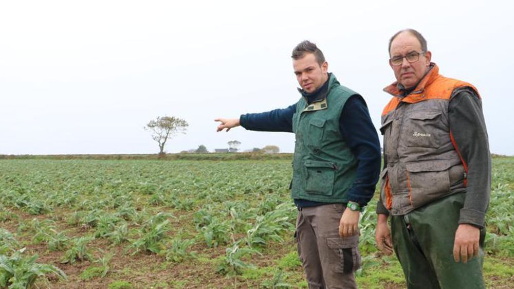 Guillaume Le Bian, ici avec son père Serge, désigne les terres où il souhaite édifier un poulailler au cœur de 12 ha de parcours. © I. Lejas