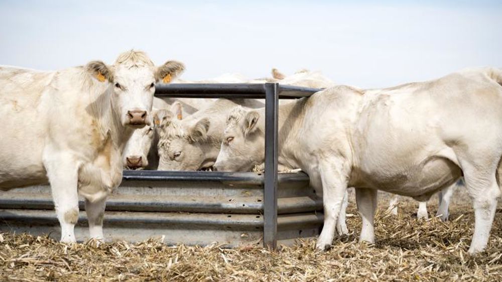 © Jérôme Chabanne