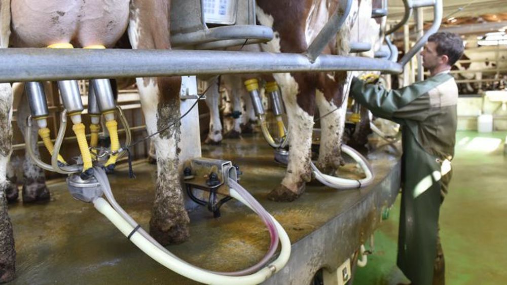 L’EMB. réaffirme que « la renonciation volontaire aux livraisons en temps de crise doit être ancrée dans la politique agricole commune (Pac) ». © C. Faimali/GFA