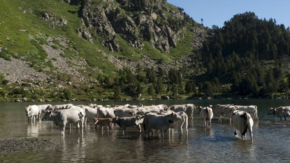 © Georges Bartoli/Fedephoto