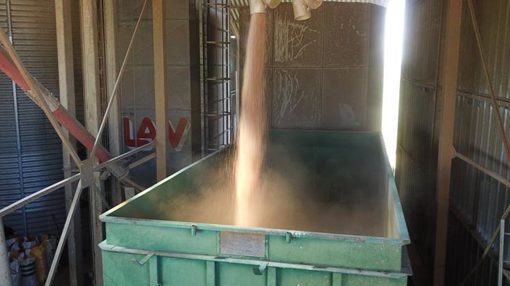 Après un repli de 4,7 % en septembre, le prix des céréales recule de 0,6 % entre septembre et octobre 2018. © C. Faimali/GFA