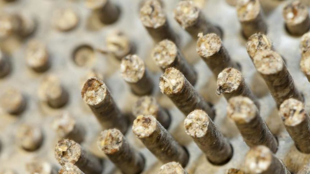 Ces 150 tonnes de prémélanges et d’aliments complets auraient contenant un OGM interdit auraient été distribué par trois fabricants d’aliment et auprès de 12 éleveurs. © S. Champion